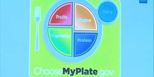my plate in food pyramid out