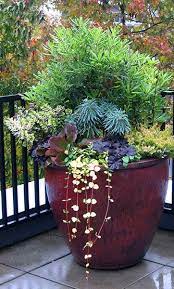 Our Container Gardening Services In