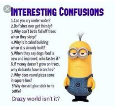 The film was released in the united states in digital 3d and 2d on november 5, 2010. Funny Minion Quotes Funny Minion Pictures Funny Minion Memes