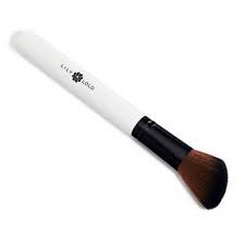 the best eco friendly makeup brushes
