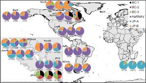 Distribution Of Six Marine Rna Virus Genomes Charts
