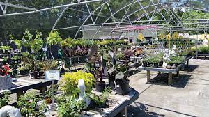 Garden Centers Of Hampton Roads