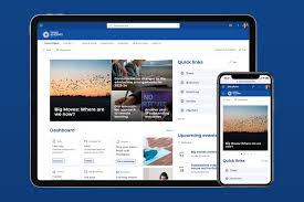 sharepoint intranet design exles and