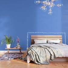 Cornflower Blue Solid Color Wallpaper