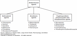 Antimicrobial Medications Lange Smart Charts Pharmacology