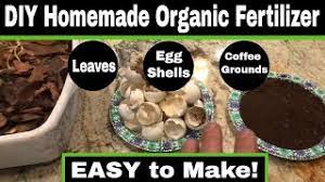 diy homemade organic garden fertilizer