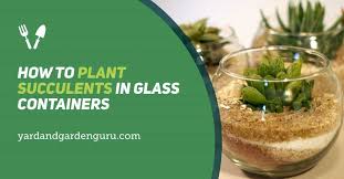 How To Plant Succulents In Glass Containers