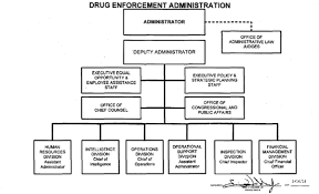 Drug Enforcement Administration Organization Chart I Will