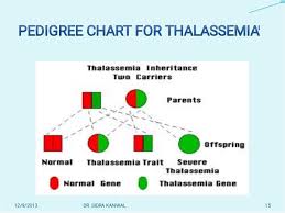 Thalassemia Slideshare