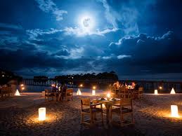 Image result for moonlit dinner by the river bank