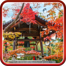 Zen Garden Live Wallpaper Apk