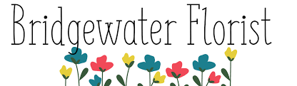 bridgewater florist bridgewater ma