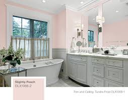 Dulux Bathroom Paint Colours