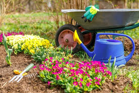 Flowerbed And Gardener Equipment