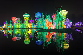 glow park dubai experience dazzling