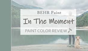 Behr In The Moment Review Your Home S