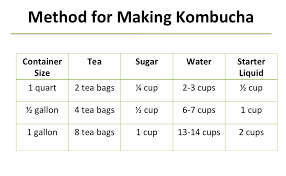 how to make kombucha tea at home oh lardy