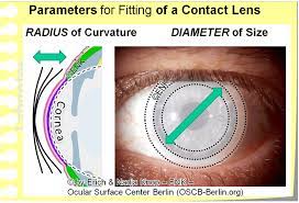 deeper insight into contact lenses