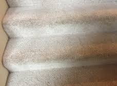 safe dry carpet cleaning of germantown