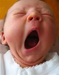 Image result for yawning pictures