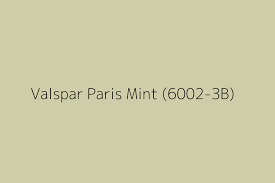 Valspar Paris Mint 6002 3b Color Hex Code
