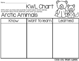 Arctic Animals Reader Plus Kwl Charts Venn Diagrams Worksheet