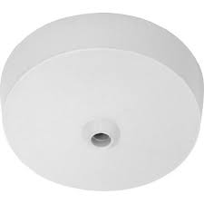 Ceiling Rose Whole