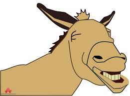 Image result for laughing donkey
