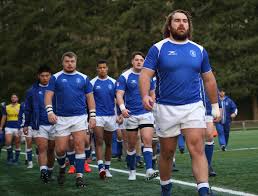 toronto arrows bring pro rugby union
