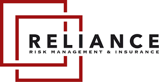reliance risk management business
