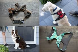 The 7 Best No Pull Dog Harnesses Of