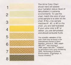 Pin By Infohow Org On Health Color Of Urine Chart Health