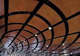 Ceiling To Use For Commercial Buildings