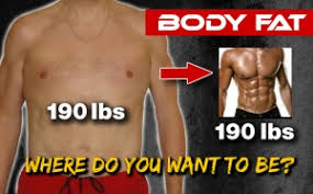 body fat percene men how to