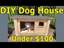Doghouse For My Husky For Under 100