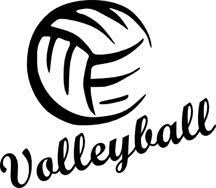 Image result for Lady Lions Volleyball