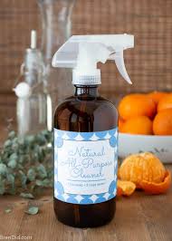 homemade all purpose cleaner