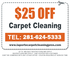 carpet cleaning in la porte