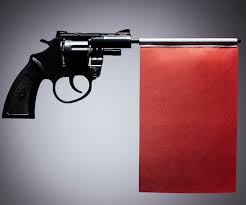 Image result for red flag laws
