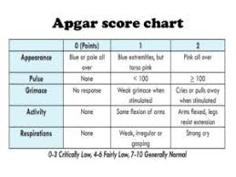 0slideshare Apgar Score Midwifery