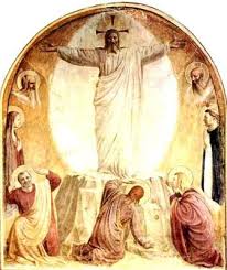 transfiguration is or man