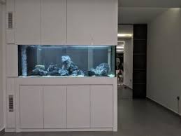 full height tanks tall aquarium with