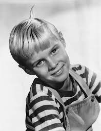 17 ways to become a child actor. Jay North Wikipedia
