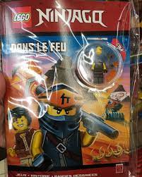 New Lego Ninjago Activity Book based on the Fire Chapter with an old SOG  Cole ... #lego #legostagram #ninjago #sons #garmadon … | Ninjago, Book  activities, Season11
