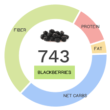 blackberry nutrients