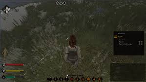Combat in life is feudal is designed to be realistic and immersive, provoking deep, tactical thinking behind your actions, as opposed to mindless button mashing. Life Is Feudal Mmo Surviving Newbie Island Cliqist