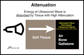 Basic Principles Of Ultrasound Physics