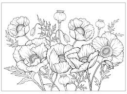 coloring flower colouring page
