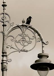 the raven by louise fahy street lamp