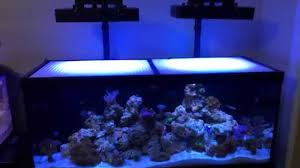 Diy Led Aquarium Light Hanger Pogot Bietthunghiduong Co